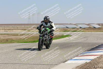 media/Feb-21-2025-Lets Ride (Fri) [[f483f33afd]]/B Group/1240pm (Wheelie Bump)/